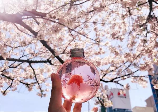 4款良心酒推荐,测评高颜值而又好看的酒