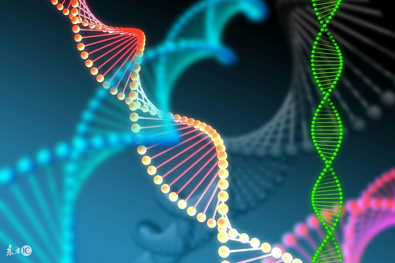 无创基因检测有必要做吗,耳聋基因检测有必要做吗