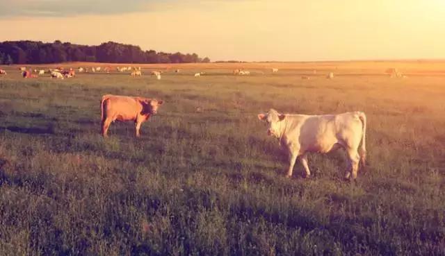 满50送20相当于多少折,满50送20打几折