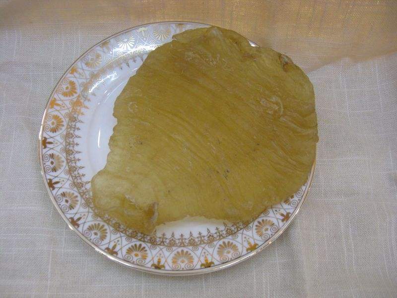 鱼胶为什么会发霉生虫,鱼胶发霉了能不能晒太阳