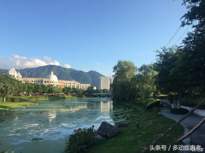 polo真实油耗,polo的油耗实测