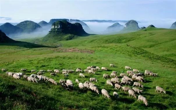 错过了这30个地方，你就相当于辜负了整个贵州！