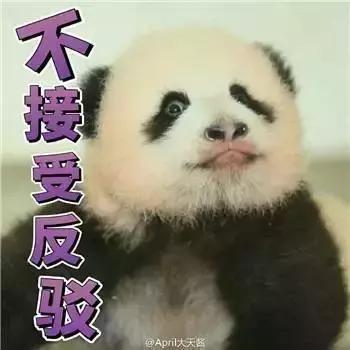 我国国宝大熊猫被外国租借有多难,日本大熊猫悲惨生活