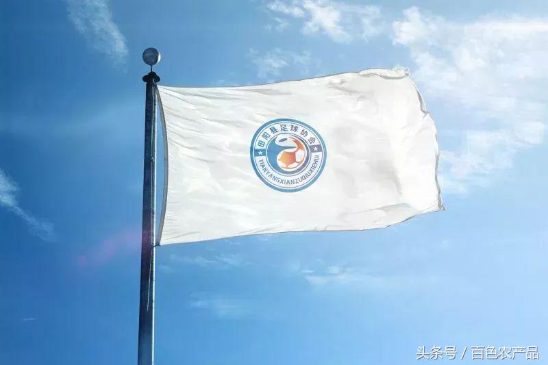 田阳足球队,田阳足球