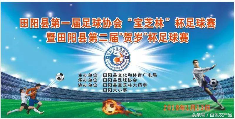 田阳足球队,田阳足球