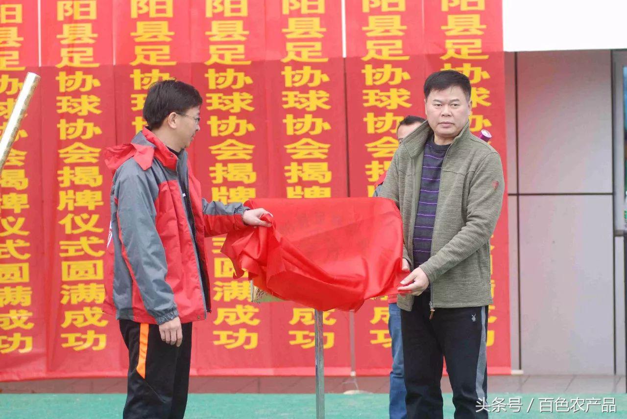 田阳足球队,田阳足球