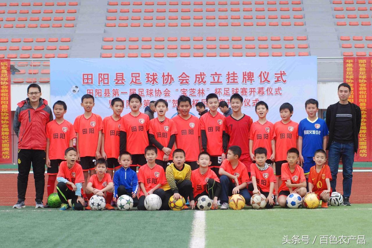 田阳足球队,田阳足球