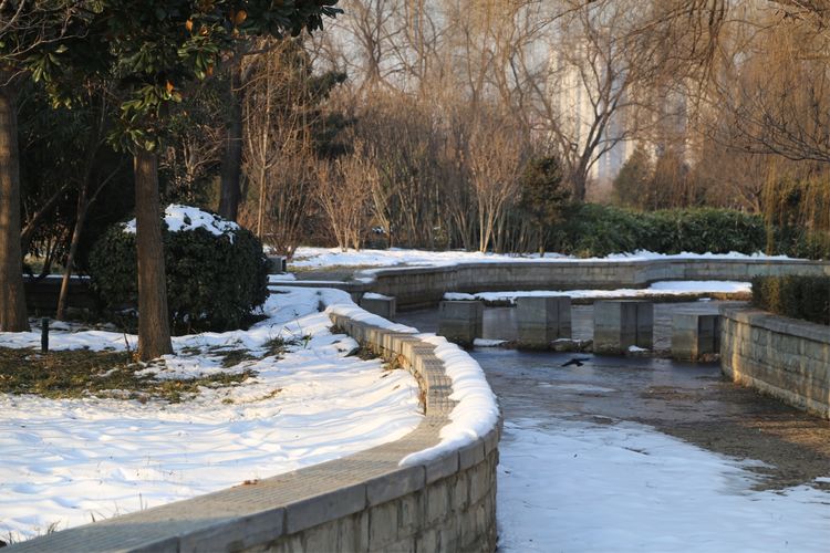 周一漫步隋唐植物园赏桃花,洛阳隋唐植物园春光