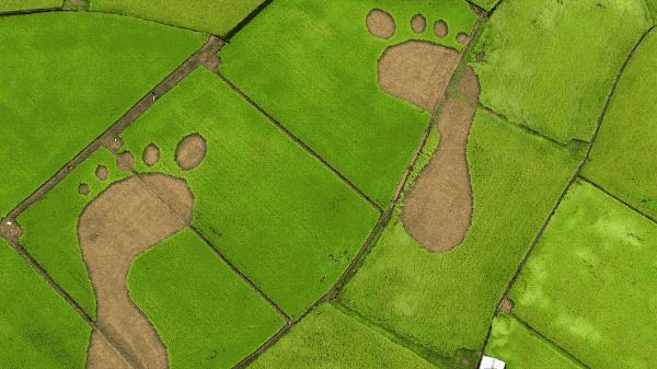 一个恐高的人，高空作业20多年，舍命拍出了最美纪录片