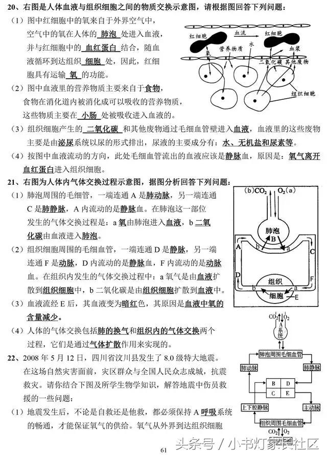 中考生物知识点总复习,中考生物复习要点最新版