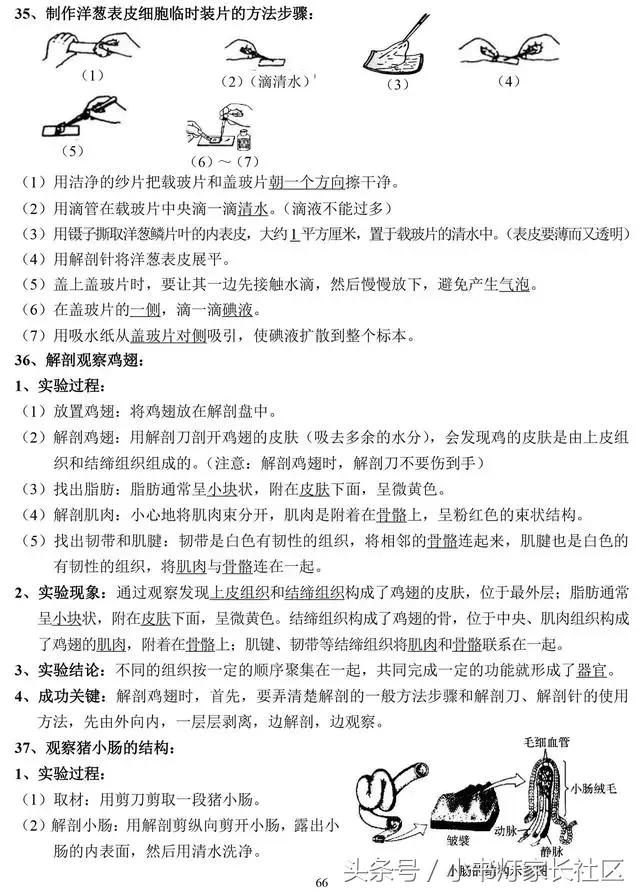 中考生物知识点总复习,中考生物复习要点最新版