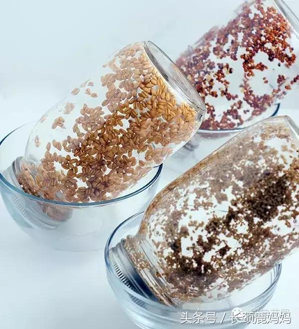 有机豆苗和西兰花营养,各种春季种的蔬菜苗