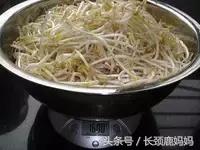 有机豆苗和西兰花营养,各种春季种的蔬菜苗