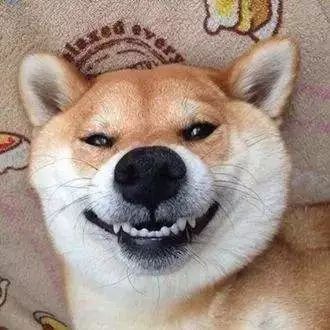 阿玛尼520限定礼盒ysl,阿玛尼ysl新品