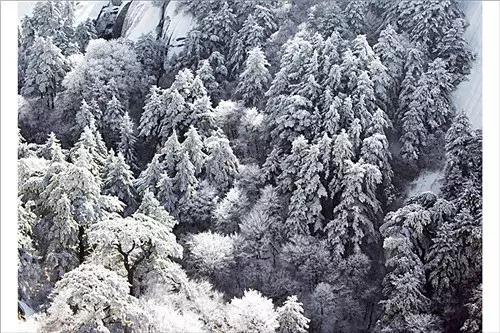 致学生*党**｜趁寒假来华山吧！