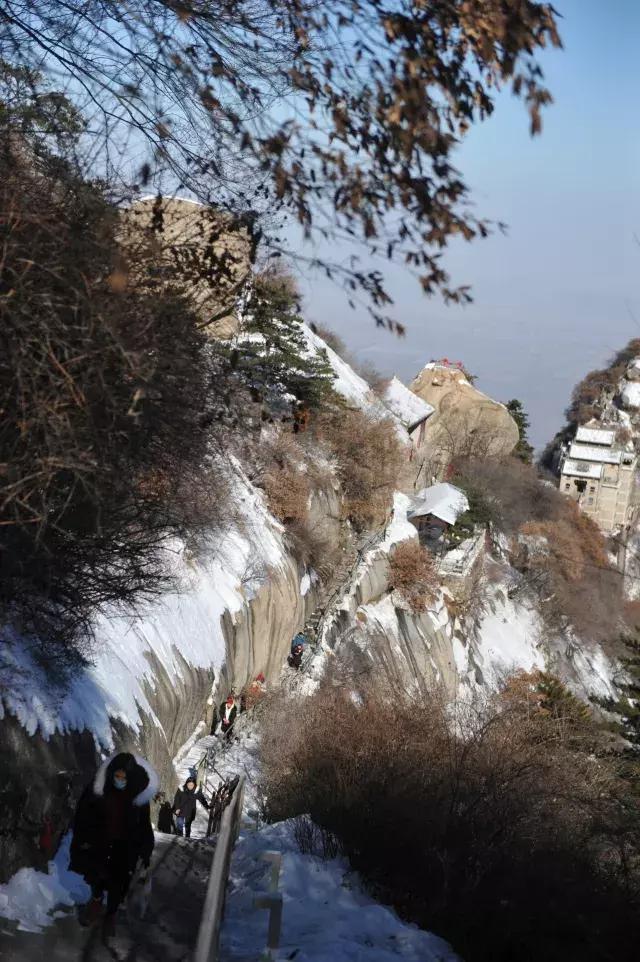 致学生*党**｜趁寒假来华山吧！