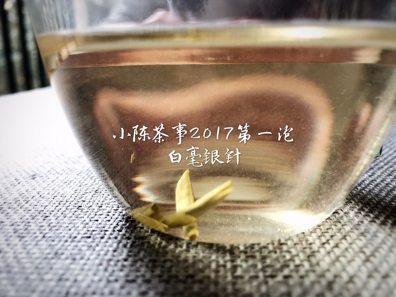 白茶怎么选白茶代表品种有哪些,普洱白茶叶底绿色和褐色哪种好