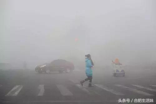 合肥天气昨天大雾情况,特强浓雾来袭全过程