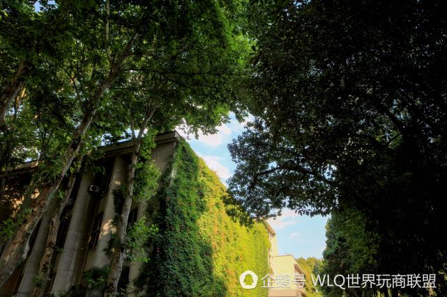 鏍″洯璇椾汉鏁ｆ枃,鏍″洯璇椾汉