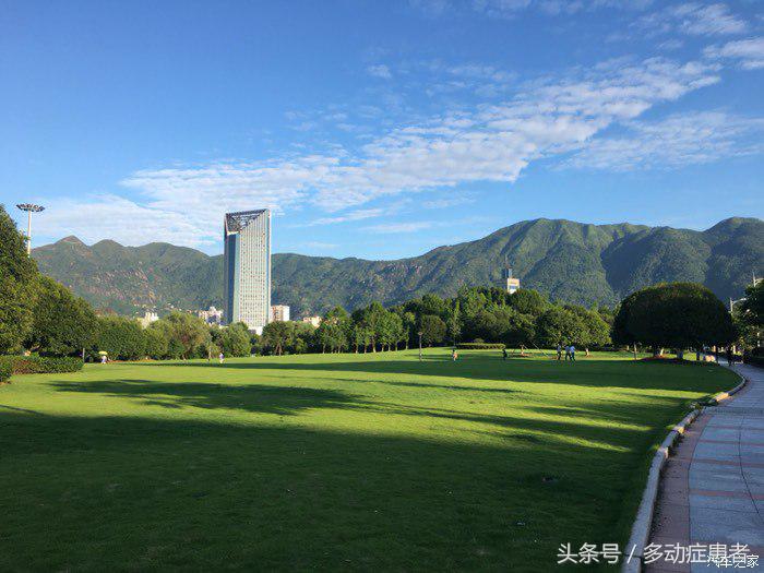 polo真实油耗,polo的油耗实测