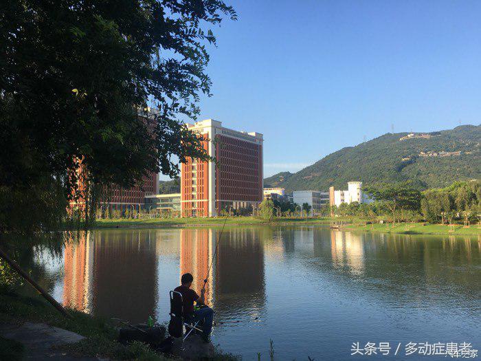 polo真实油耗,polo的油耗实测