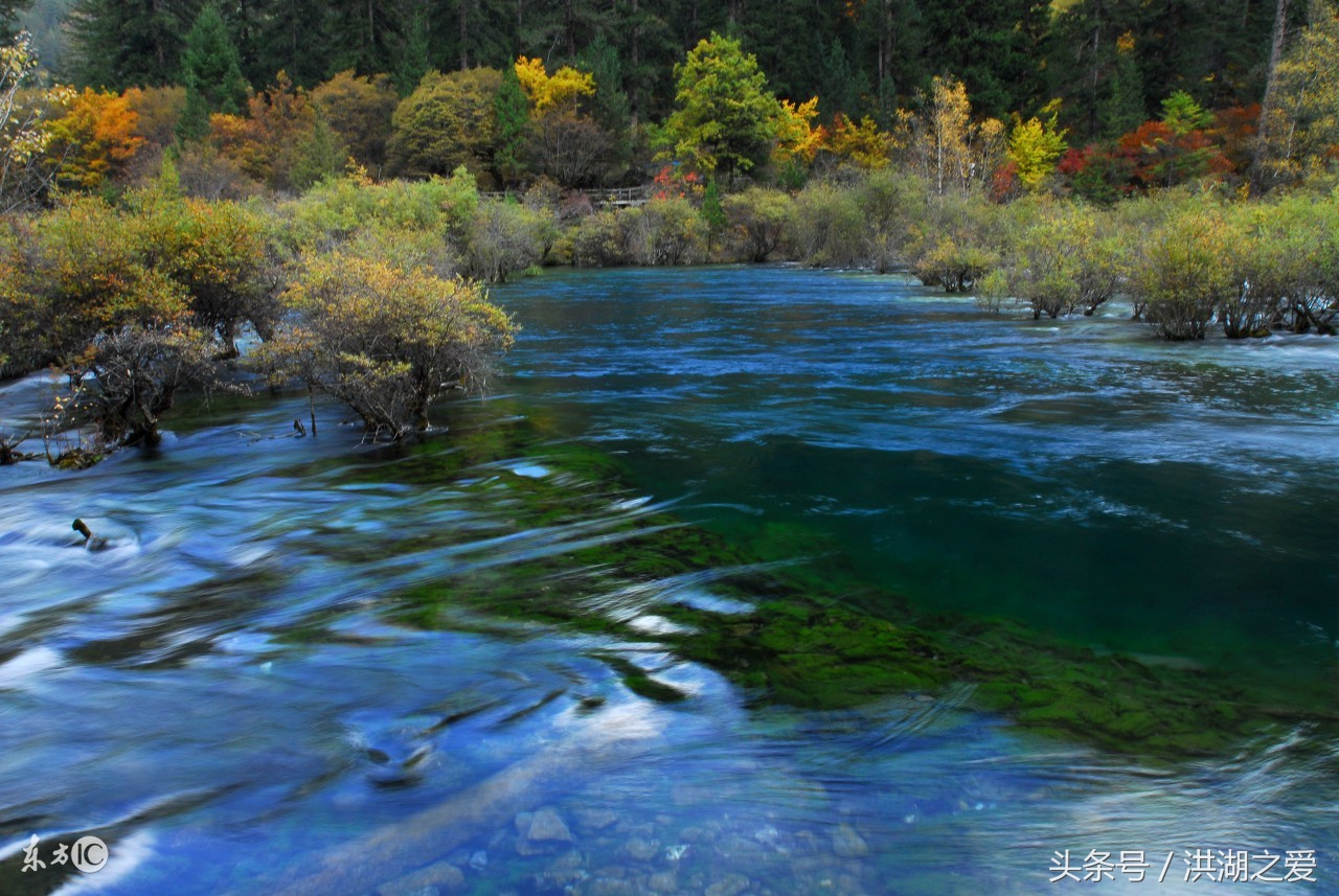 四川抬钓过河钓技巧,四川过江台钓全过程视频