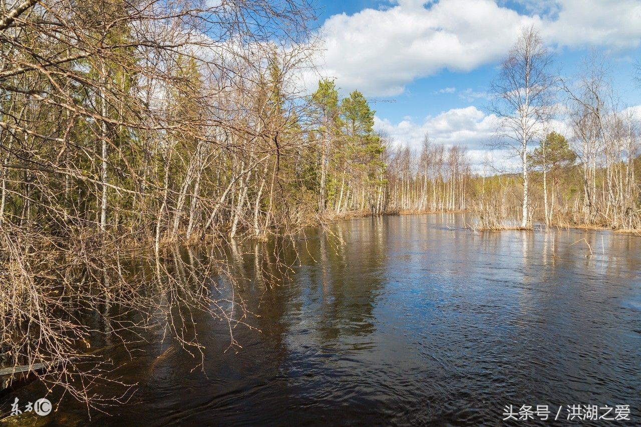 抬钓过河钓教程,四川抬钓过河钓