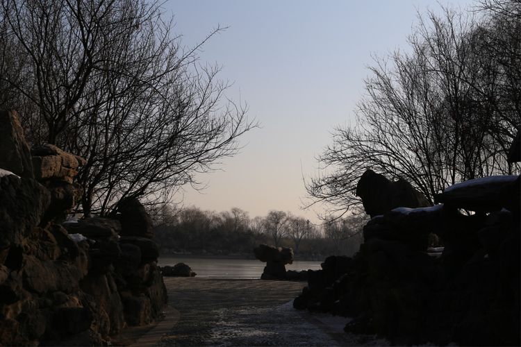 周一漫步隋唐植物园赏桃花,洛阳隋唐植物园春光