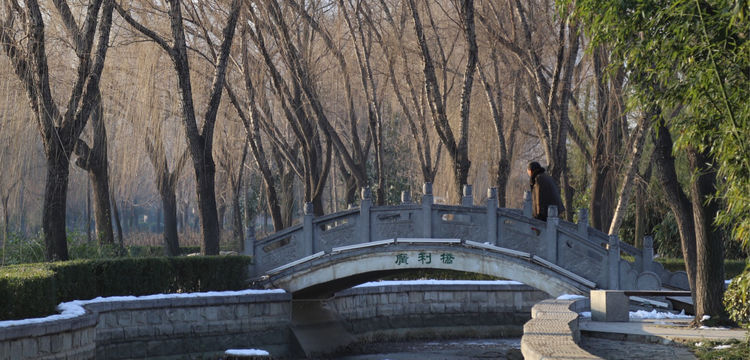 周一漫步隋唐植物园赏桃花,洛阳隋唐植物园春光