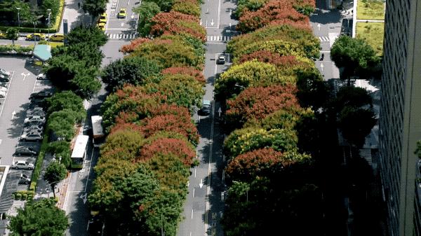 一个恐高的人，高空作业20多年，舍命拍出了最美纪录片