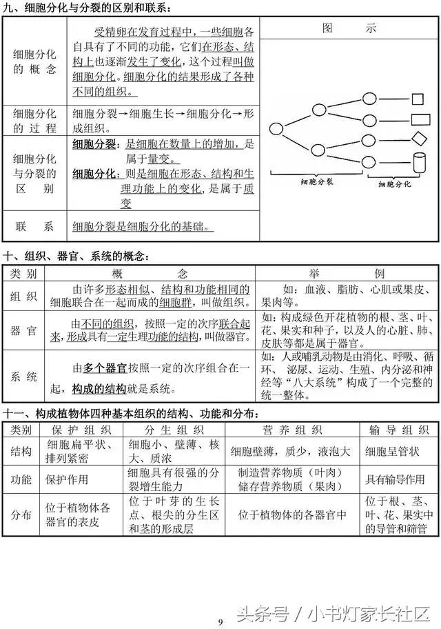 中考生物知识点总复习,中考生物复习要点最新版