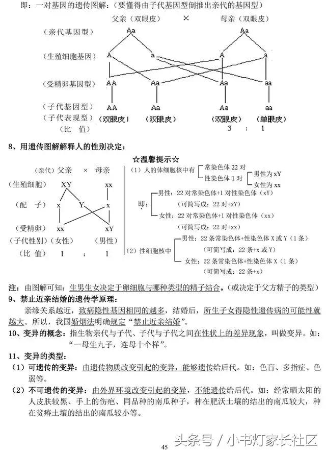 中考生物知识点总复习,中考生物复习要点最新版