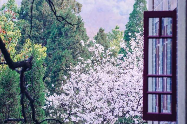 去过湖北的人,去过34个省的感受