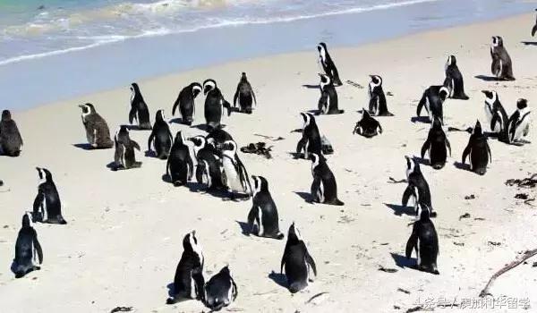 澳洲十大绝美圣地,澳洲旅游必去十大景点