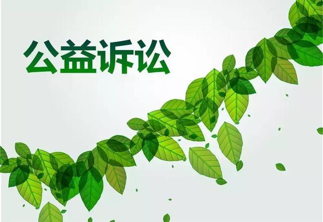 2017法治印象|公益诉讼迎来“国家队”,检察机关踏上新征程