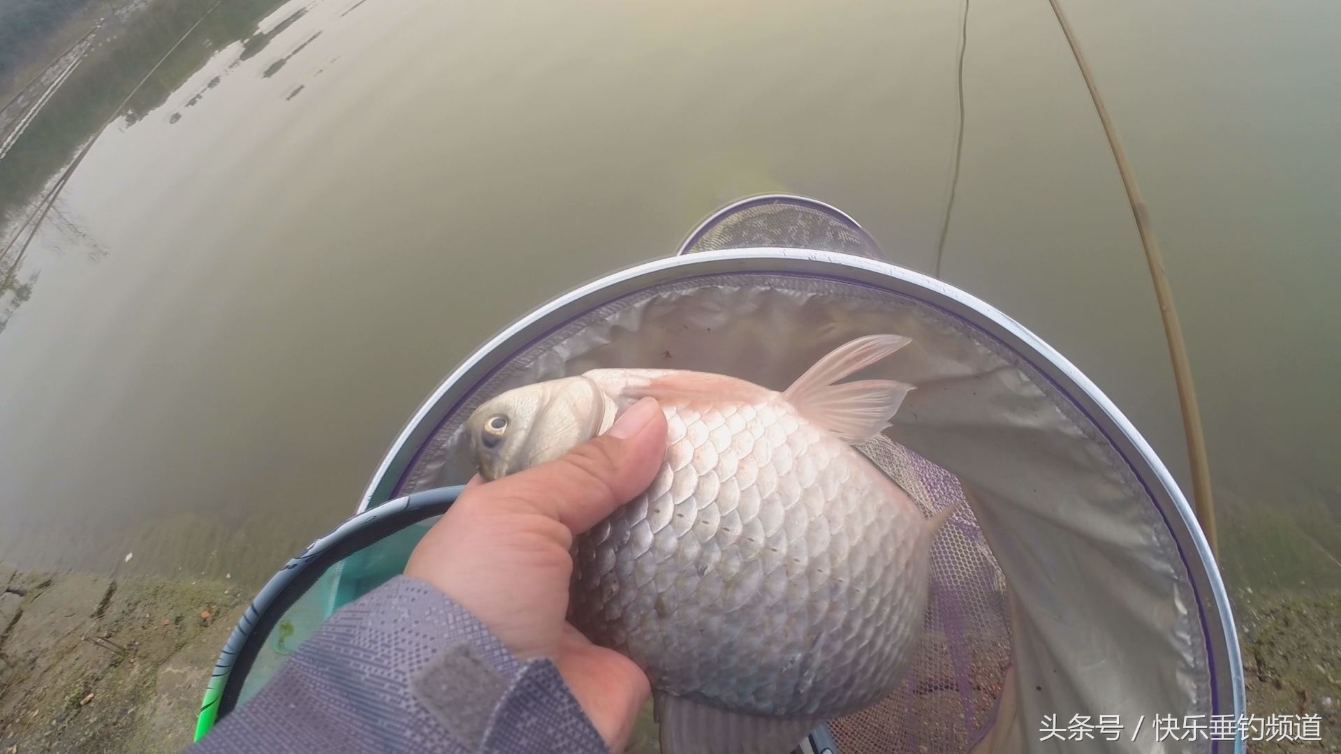 钓鲫鱼怎么调漂能出现顶漂,冬钓深水怎样调漂