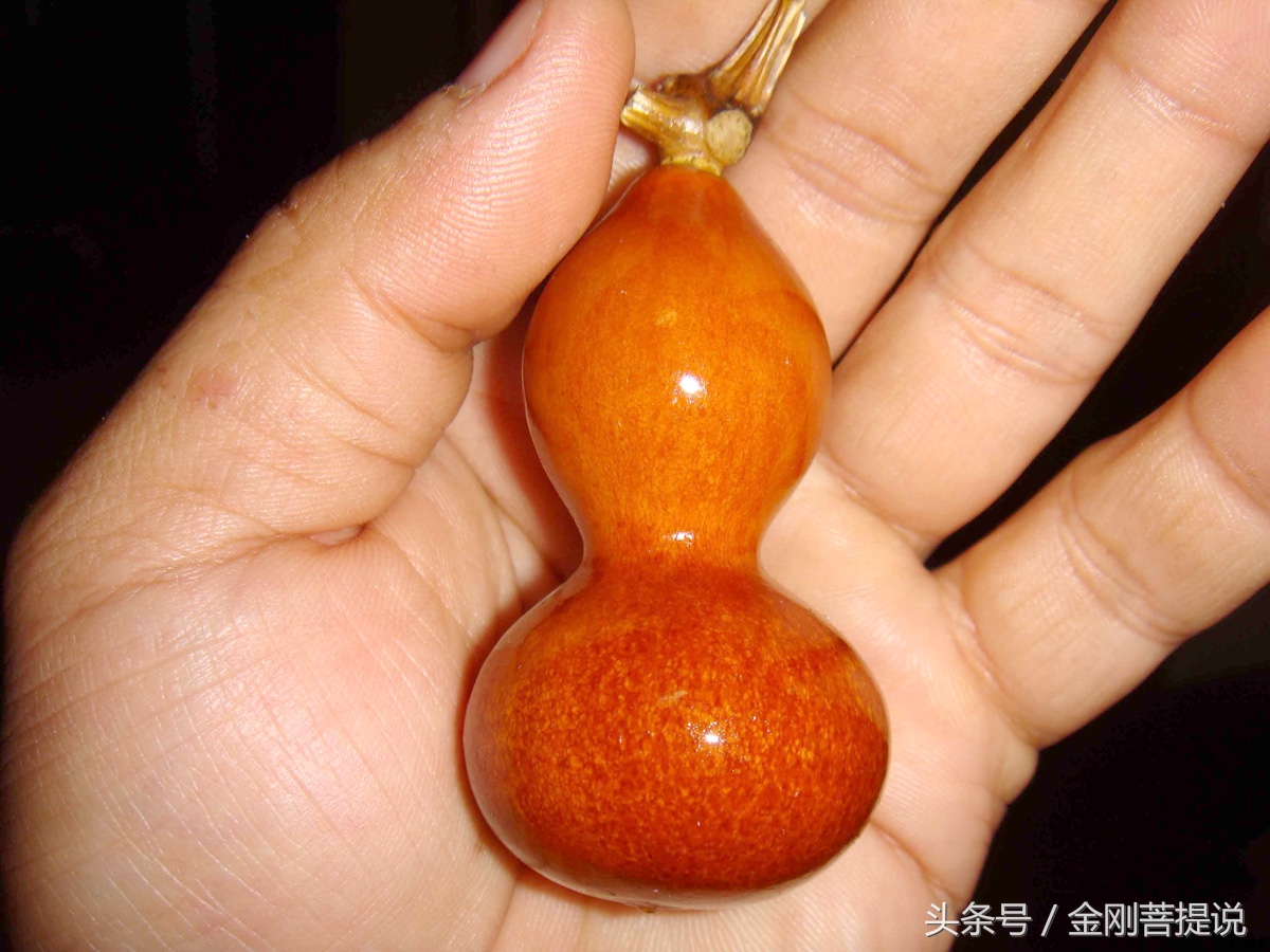 极品文玩葫芦,怎么选一把好的文玩葫芦