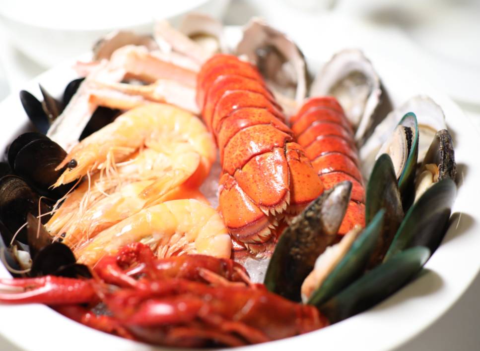 世界梦号海上堡垒