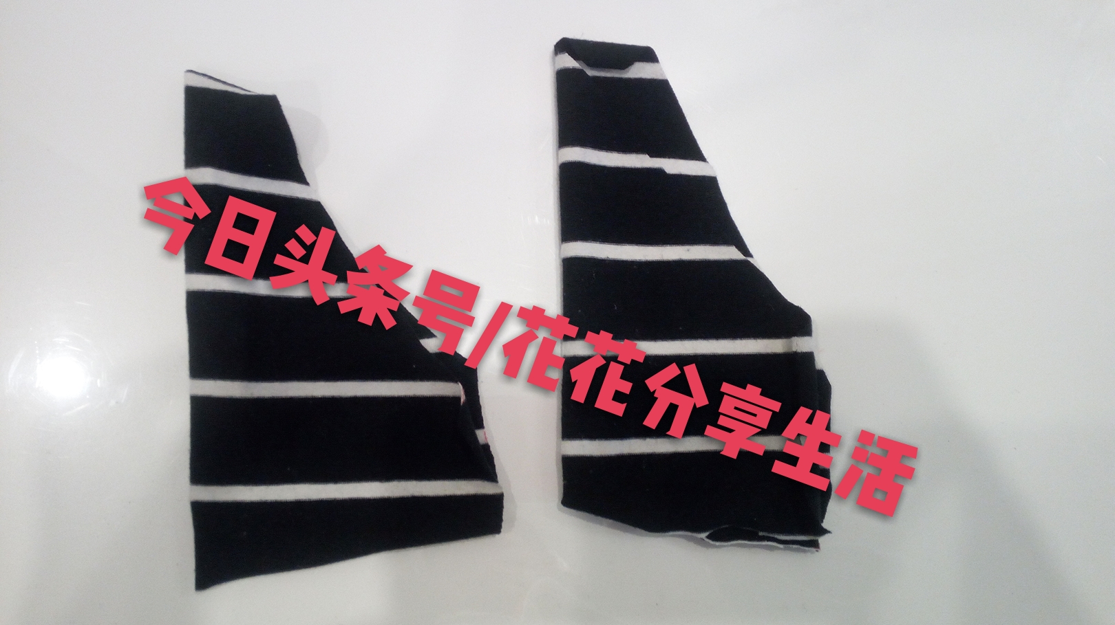 手工制作小狗衣服视频教程,怎样利用旧衣服做狗狗衣服