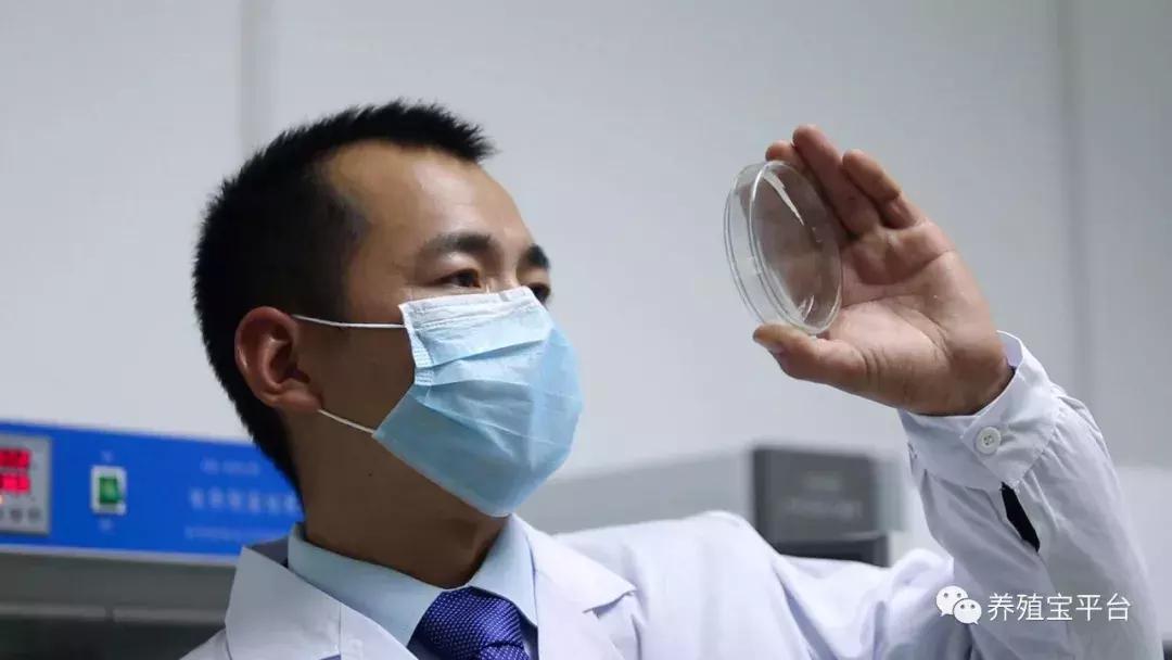 旭牧通2020年,旭牧通全部产品讲解