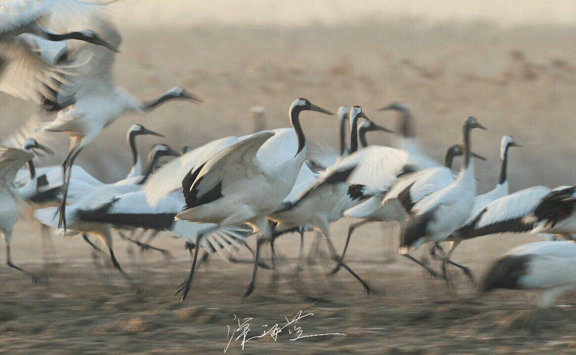 ipad绘画怎么部分上色,ipad画画如何拍摄出大片感觉