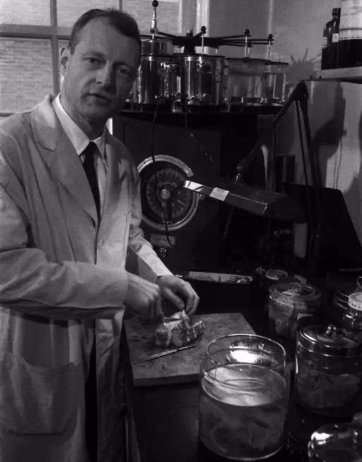 爱因斯坦被偷大脑全过程,爱因斯坦盗脑人