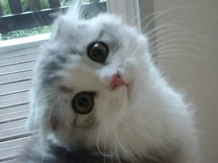 如何用原相机拍出好看的自拍照,自拍拍照摄影技巧教程