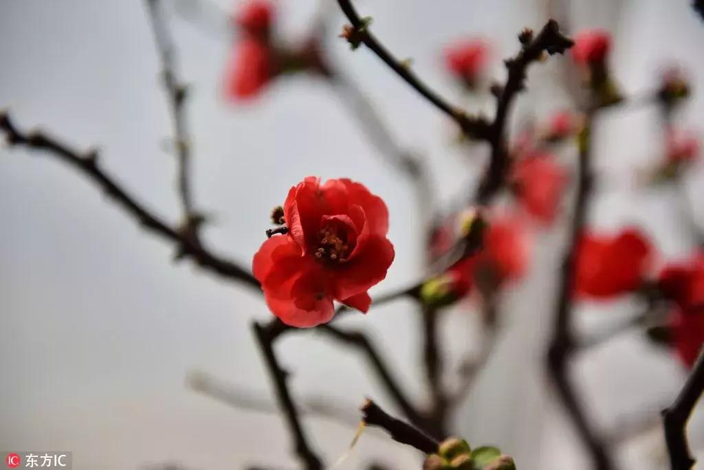 从寒冬逛到初春,北京25家历史名园,你都去过吗?