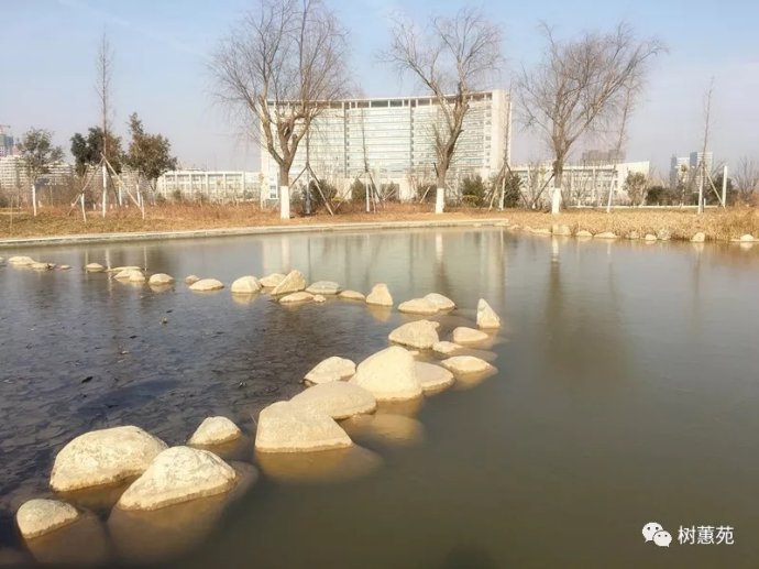 选修中国古代诗歌散文欣赏默写题,高中中国古代诗歌散文重点默写