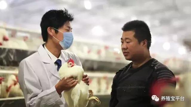 旭牧通2020年,旭牧通全部产品讲解