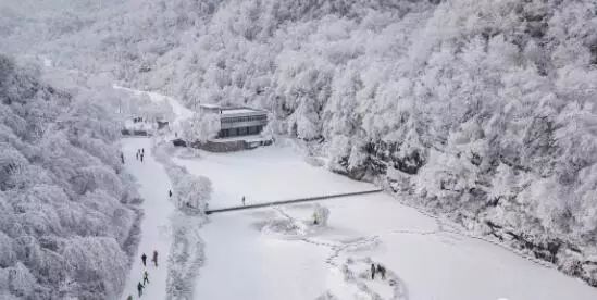 寒气席卷、叶汽成霜……陕西6处大美雾凇奇景上线!