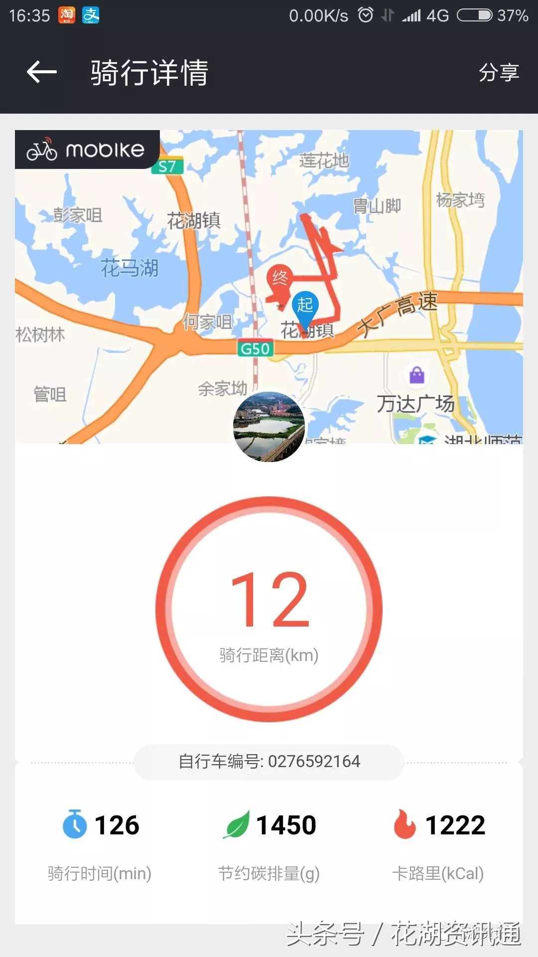 带你实地探访湖北国际物流中心花湖临空产业园(上)