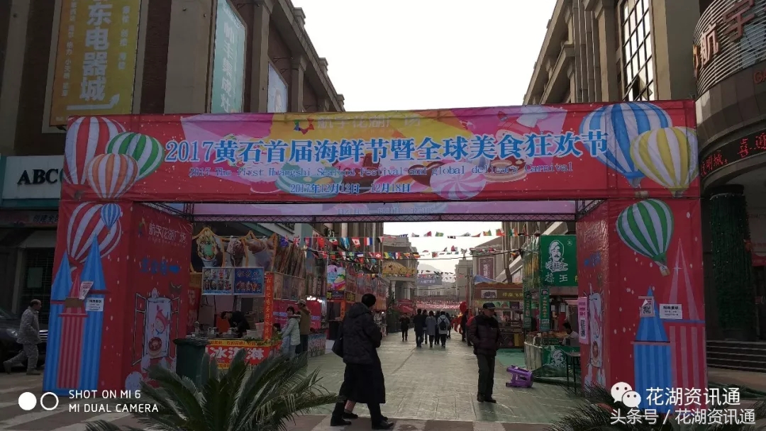 带你实地探访湖北国际物流中心花湖临空产业园(上)