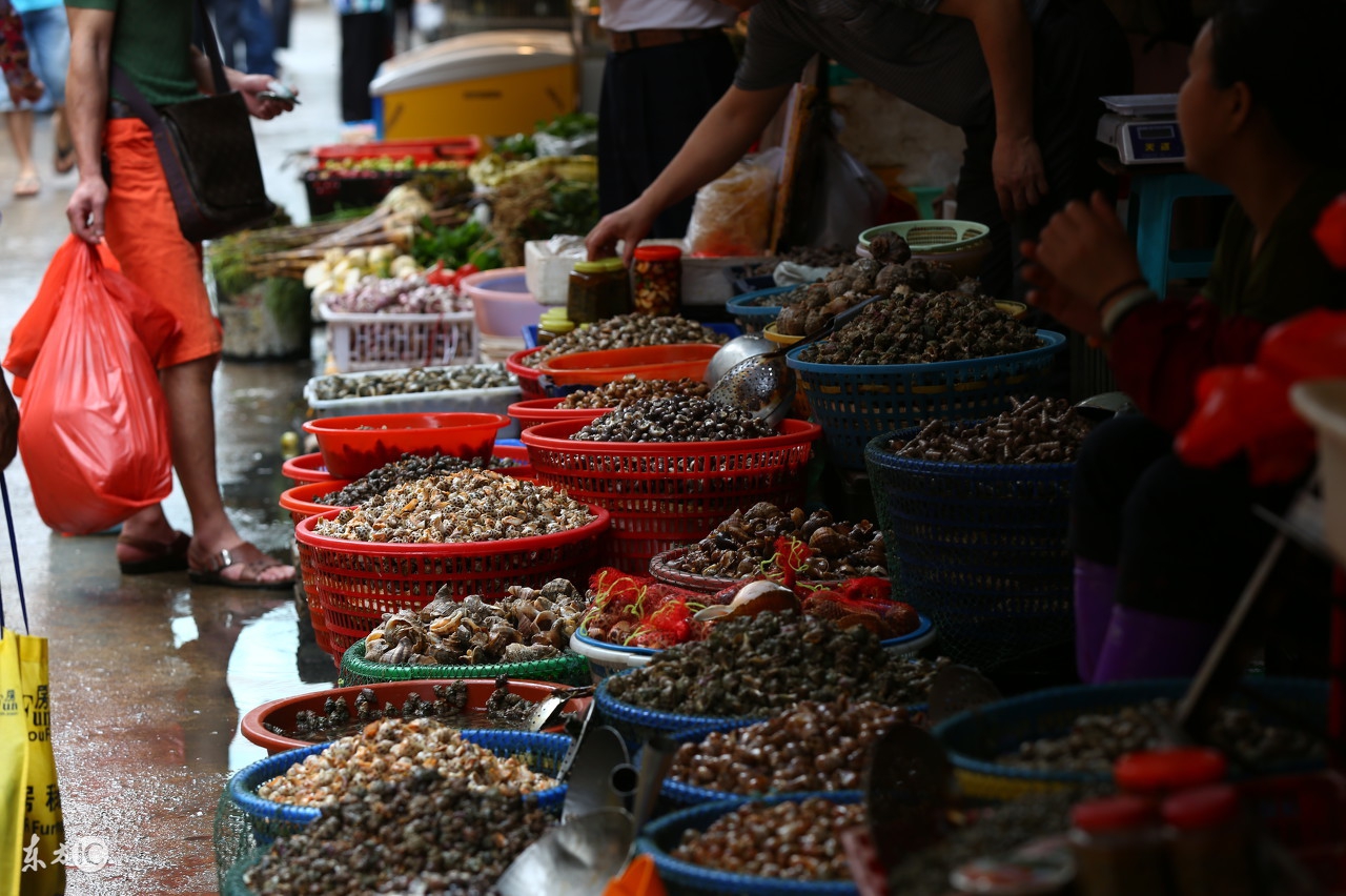 海鲜怎么挑选小窍门,海鲜怎么挑选视频教程